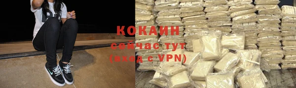 дживик Белоозёрский