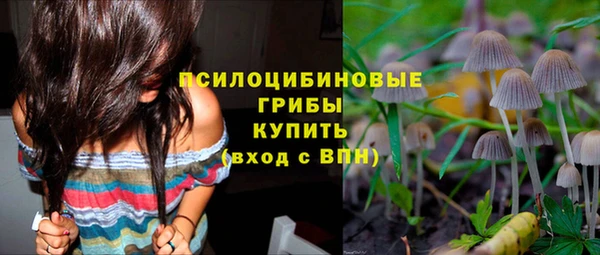 прущие крисы Беломорск
