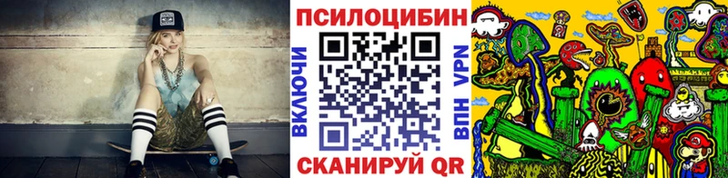 Псилоцибиновые грибы Psilocybe  Купить закладки  Вытегра 